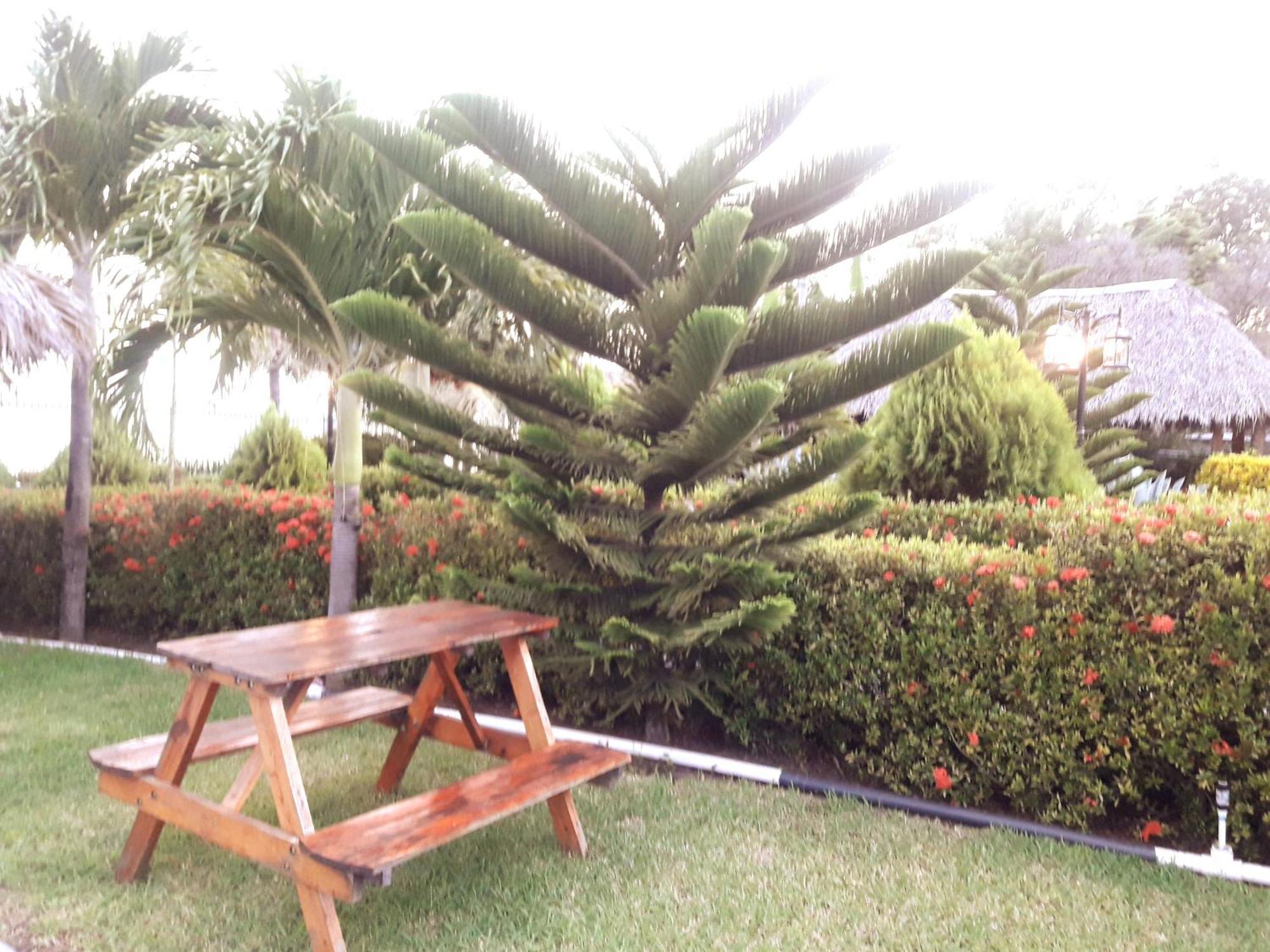 Cabañas El Paraíso - Ometepe Hotel San José del Sur Exterior foto